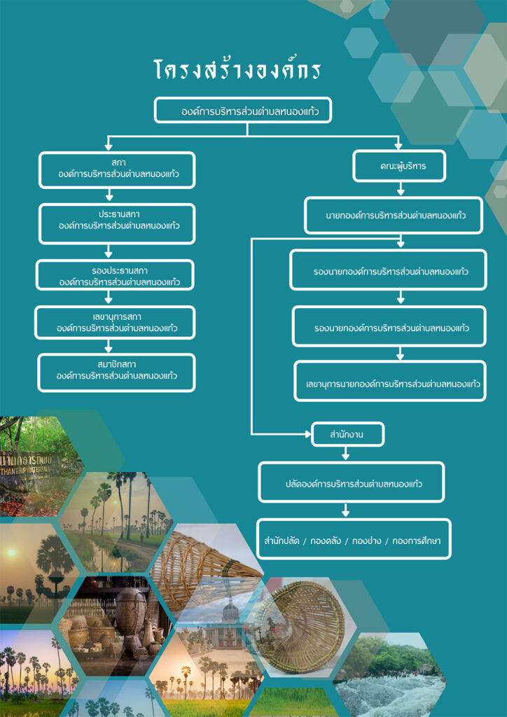 Organizational Structure 724x1024