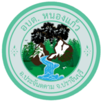 logo nongkaeo new